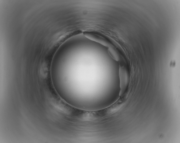 X0000092020080200709061602