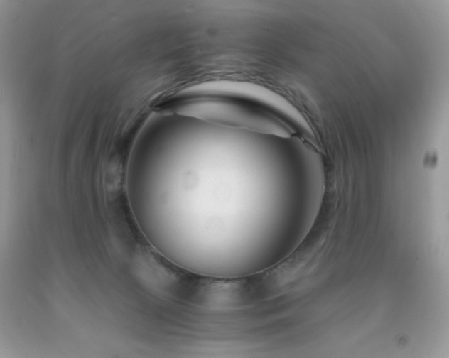 X0000092020081200709061602