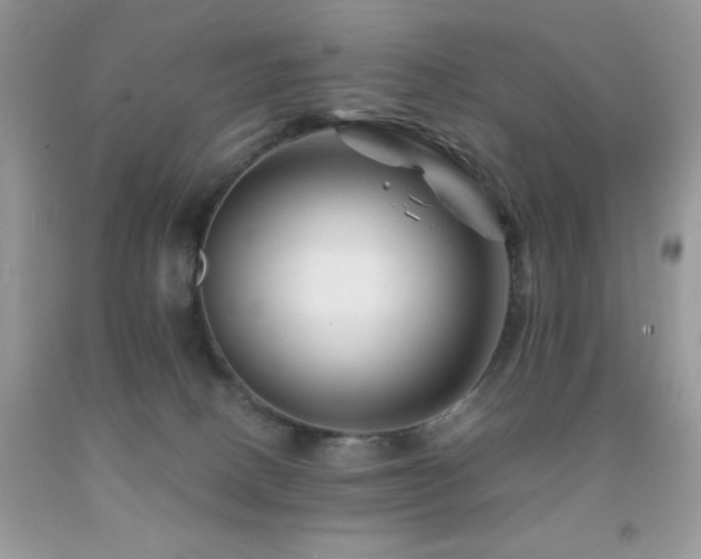 X0000092020082200709061602