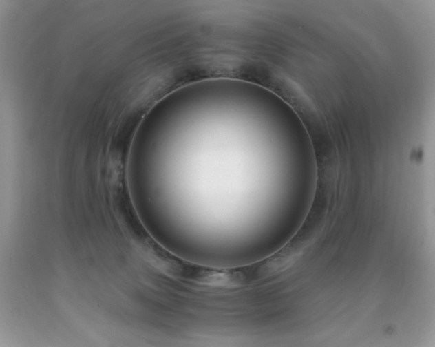 X0000092020083200709061602