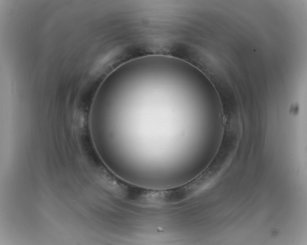 X0000092020084200709061602