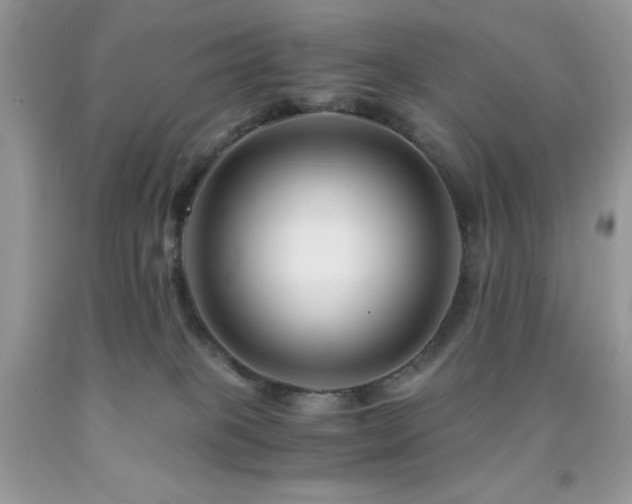 X0000092020085200709061602
