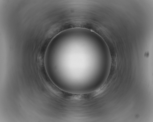 X0000092020086200709061602