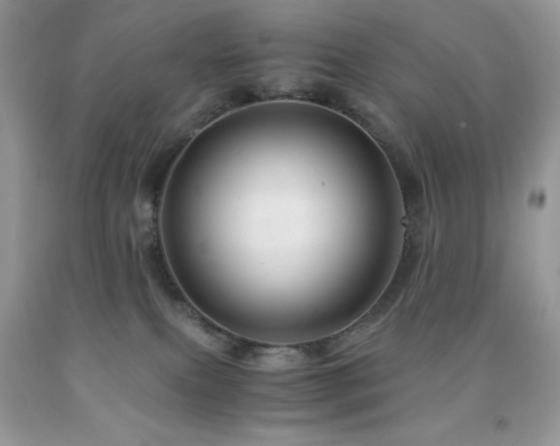 X0000092020087200709061602