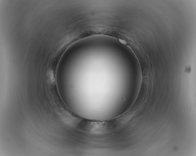 X0000092020089200709061602