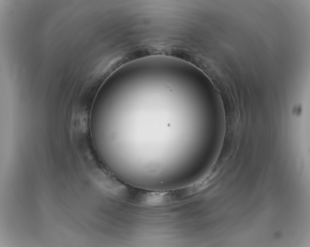 X0000092020090200709061602