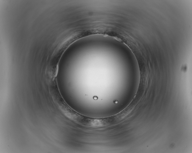 X0000092020091200709061602