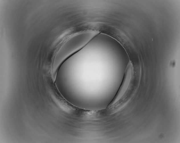 X0000092020092200709061602