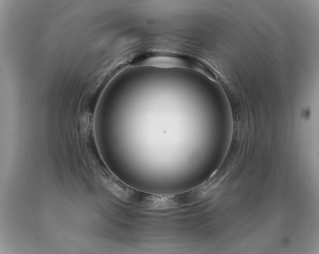 X0000092020093200709061602
