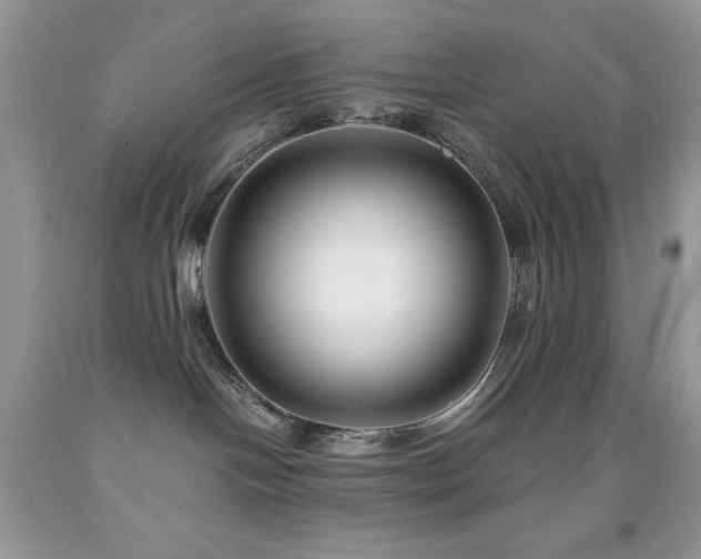 X0000092020094200709061602