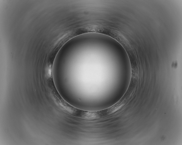 X0000092020095200709061602