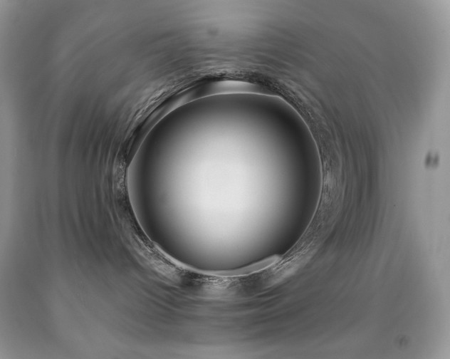 X0000092020096200709061602