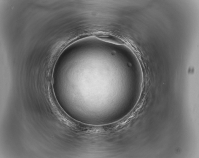 X0000092020097200709061601