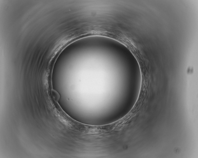 X0000092020098200709061601