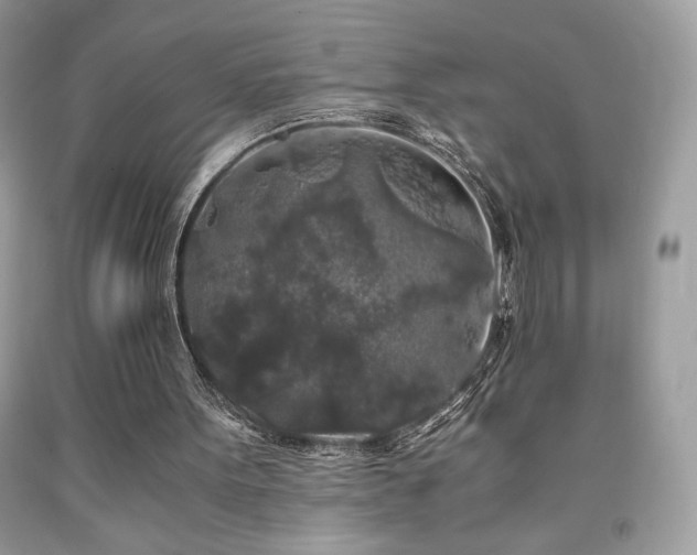 X0000092020099200709061601
