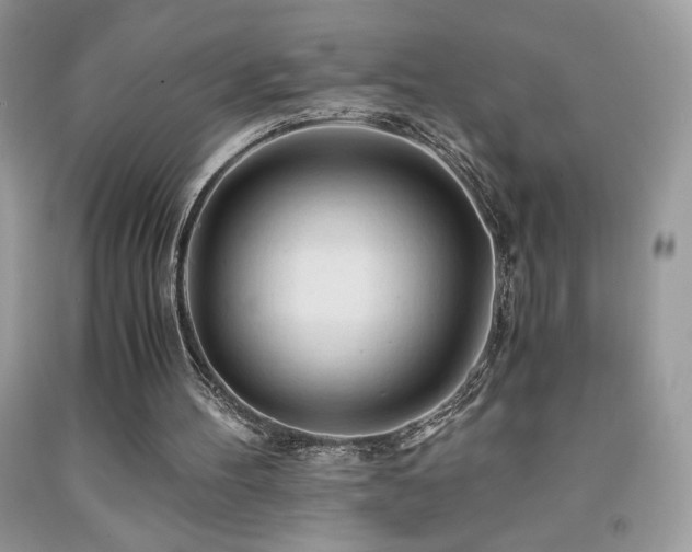 X0000092020100200709061601