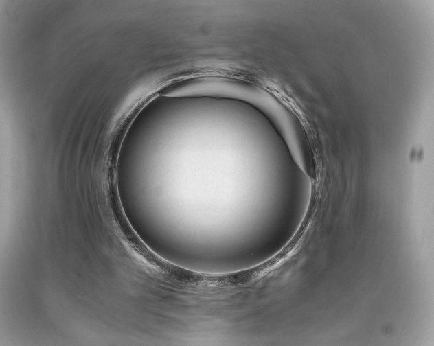 X0000092020101200709061601