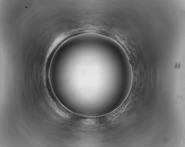 X0000092020102200709061601