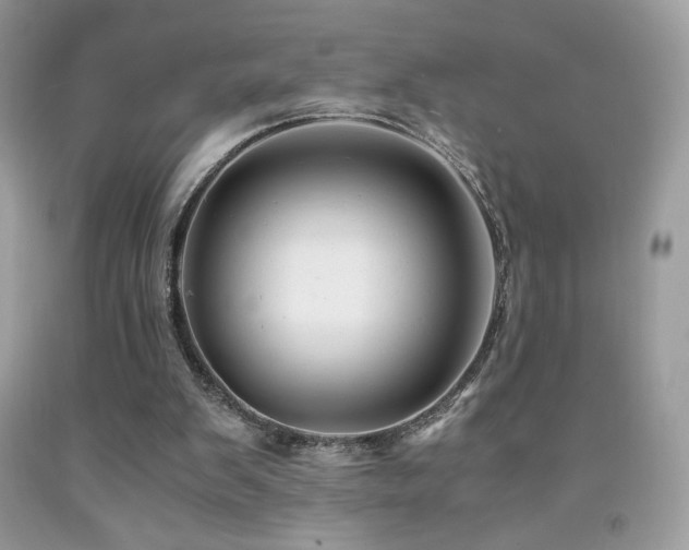 X0000092020103200709061601