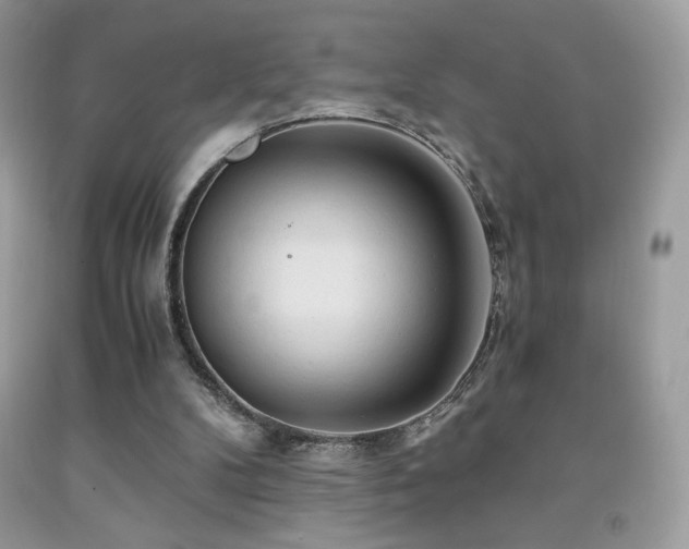 X0000092020104200709061601