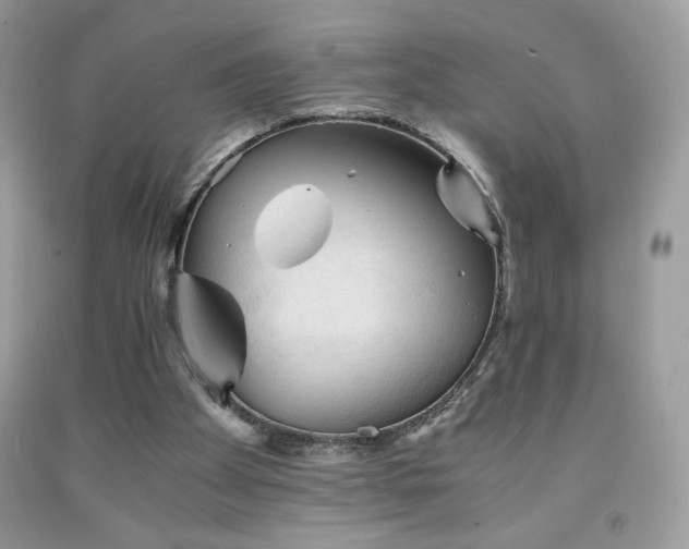 X0000092020105200709061601