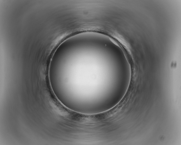 X0000092020107200709061601