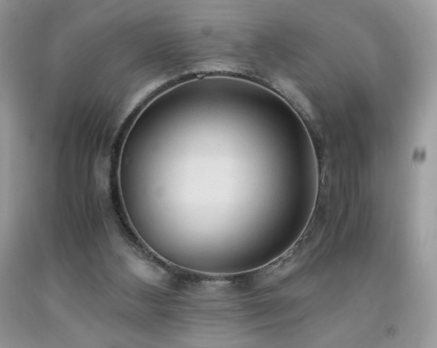 X0000092020108200709061601