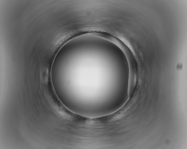 X0000092020109200709061601