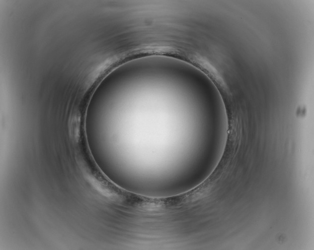X0000092020110200709061601