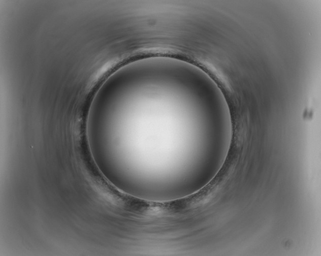 X0000092020111200709061601