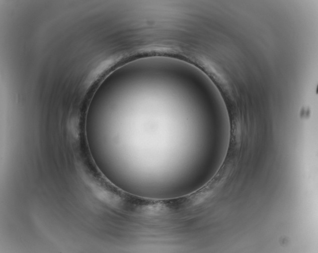 X0000092020112200709061601