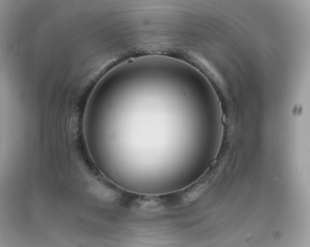 X0000092020113200709061601