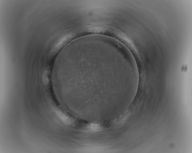 X0000092020114200709061601