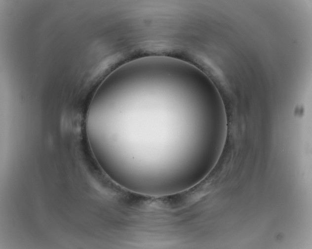 X0000092020115200709061601