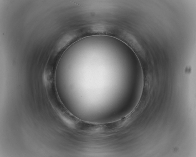 X0000092020116200709061601