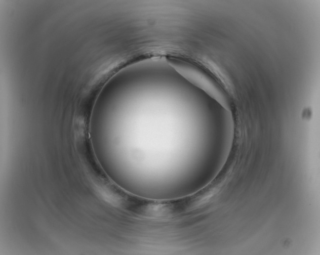 X0000092020117200709061601