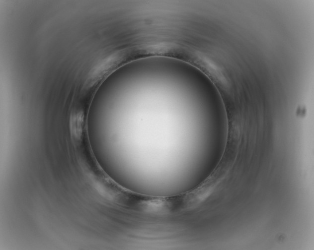 X0000092020118200709061601