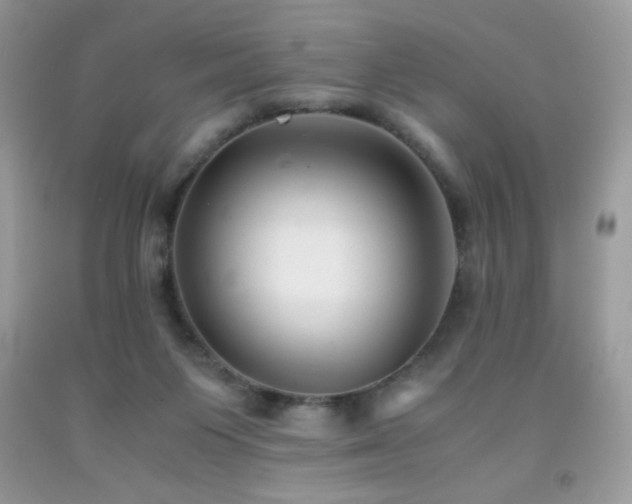 X0000092020119200709061601
