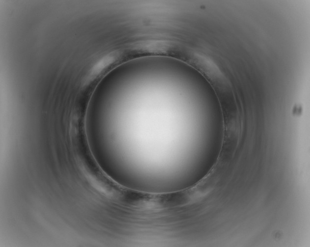 X0000092020120200709061601