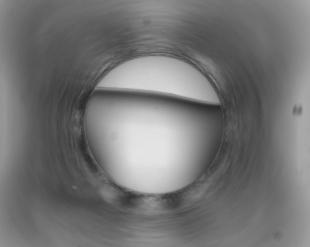 X0000092020121200709061601