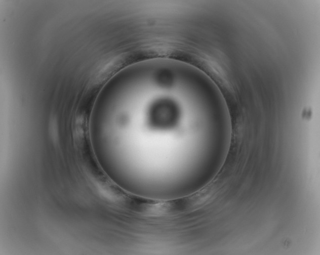 X0000092020122200709061601