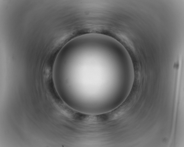 X0000092020123200709061601