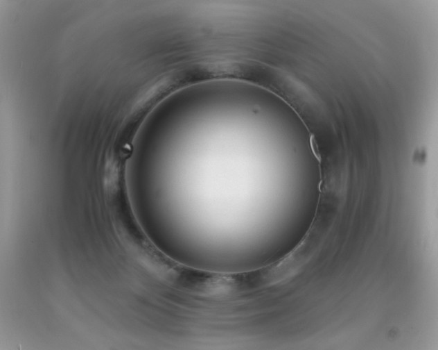 X0000092020124200709061601