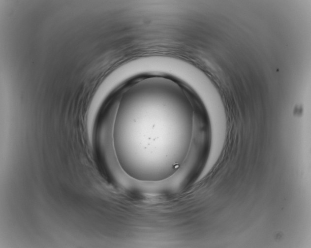 X0000092020125200709061601