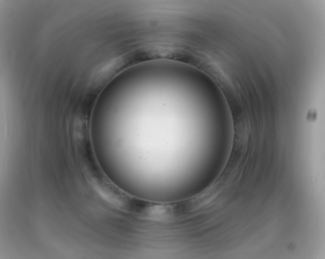 X0000092020126200709061601