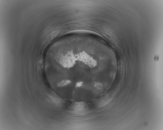 X0000092020127200709061601