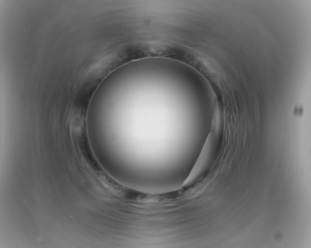 X0000092020129200709061601