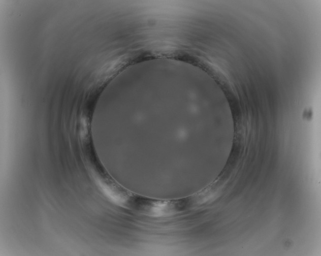 X0000092020130200709061601