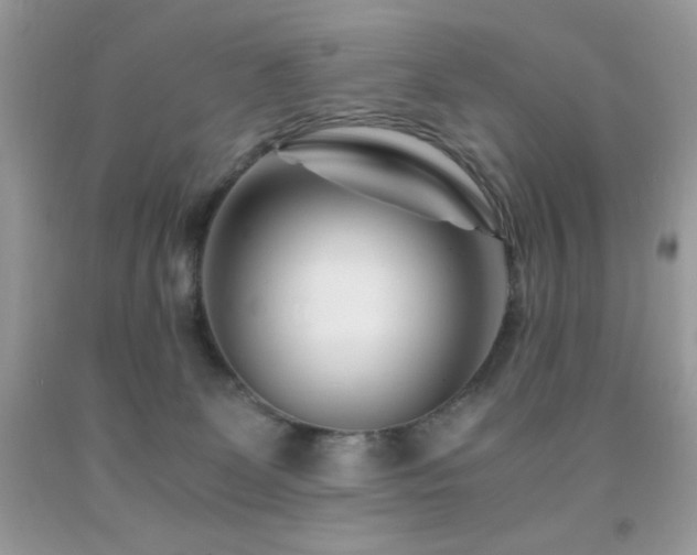X0000092020131200709061601
