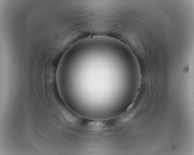 X0000092020133200709061601